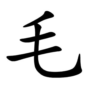 毛|English translation of 毛 ( mao / máo )